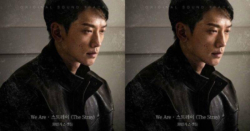 Youtube.com/Thestray